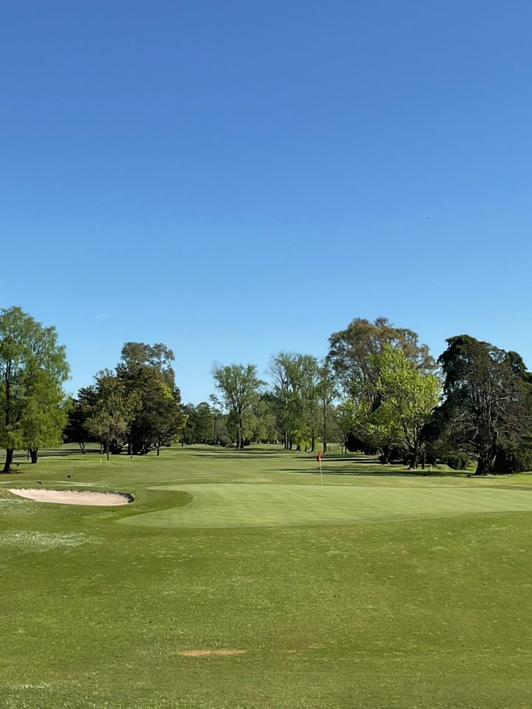 XVI Torneo de Golf
